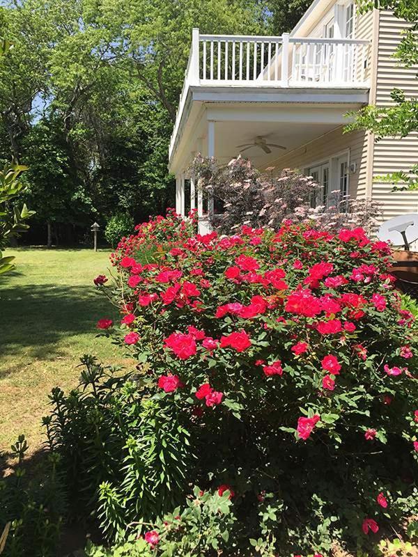 The Baywood Bed & Breakfast Cape Charles Exterior photo